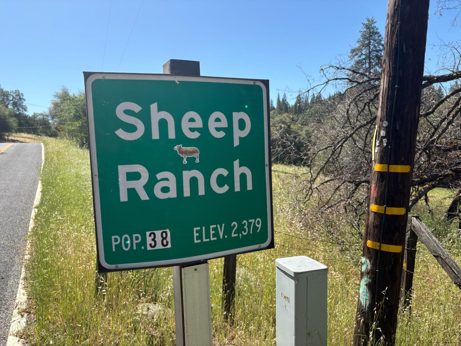 0 Sheep Ranch Road Mountain Ranch, CA 95246 - Photo 4 of 17