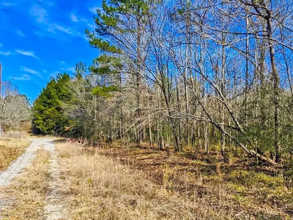 $179,900 | Tbd Veal Street, Chester, TX 75936