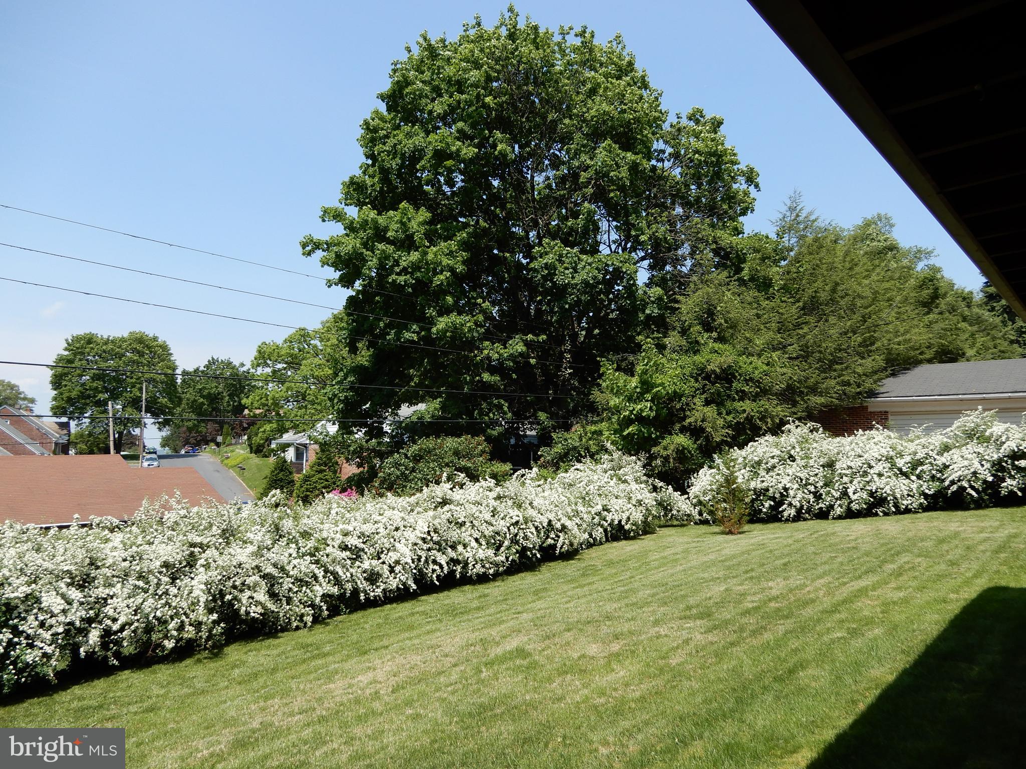 717 Clearmount Road York, PA 17403 - Photo 34 of 35 Hedge Border for Privacy
