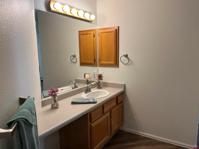 a bathroom with a sink and a mirror