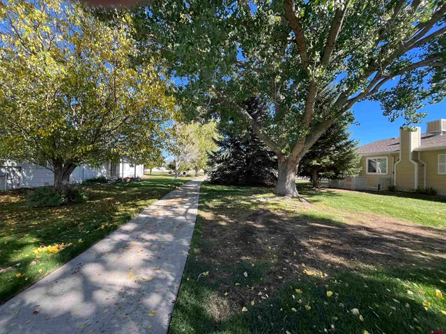 a view of a yard with plants and trees