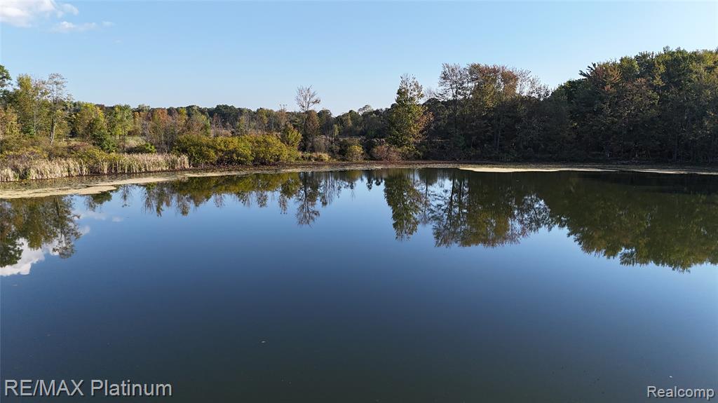 0 Chapman Road Stockbridge, MI 49285 - Photo 8 of 20