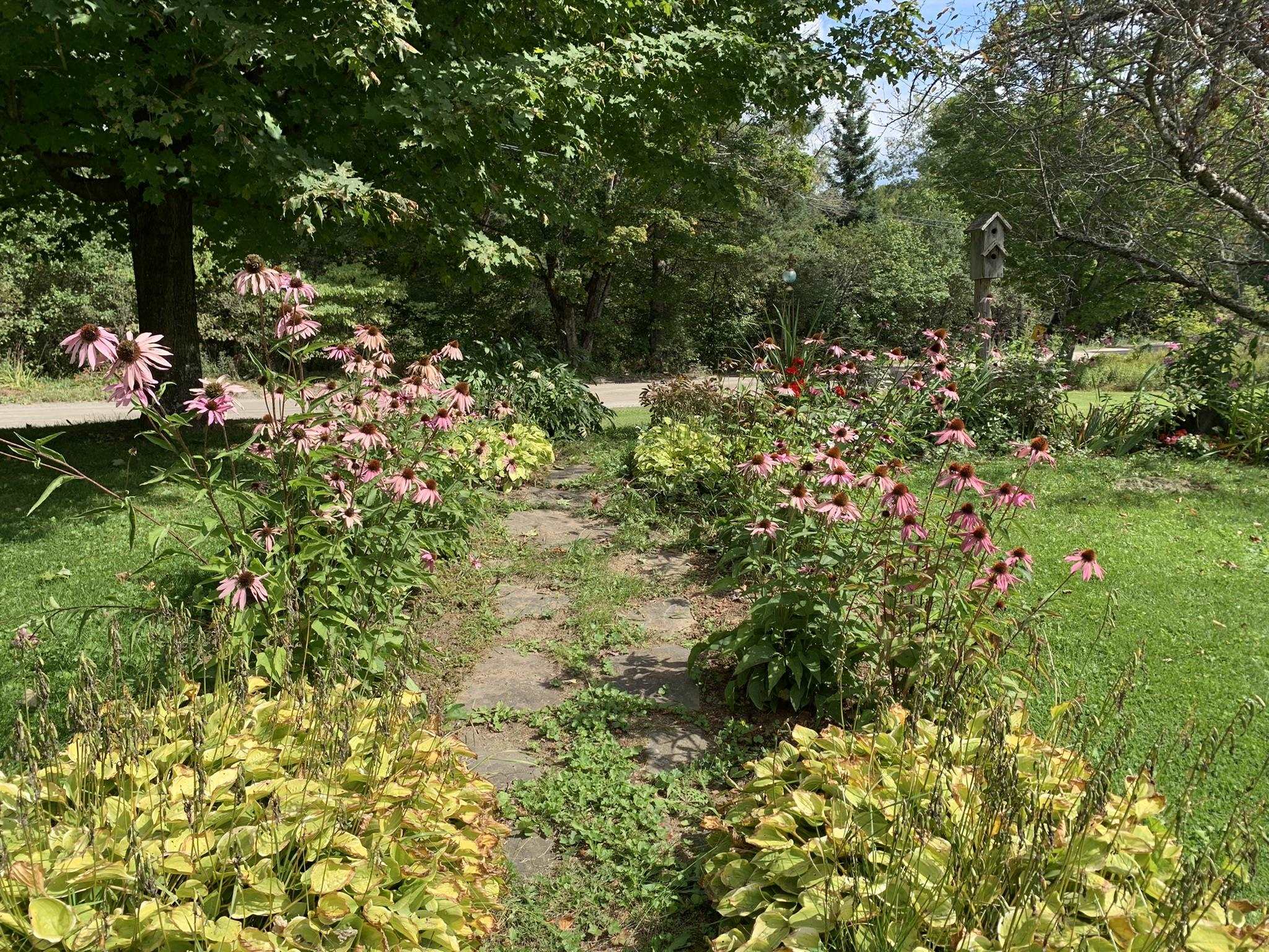 3406 Keiser Pond Road Danville, VT 05828 - Photo 17 of 20 Gallery Image 17