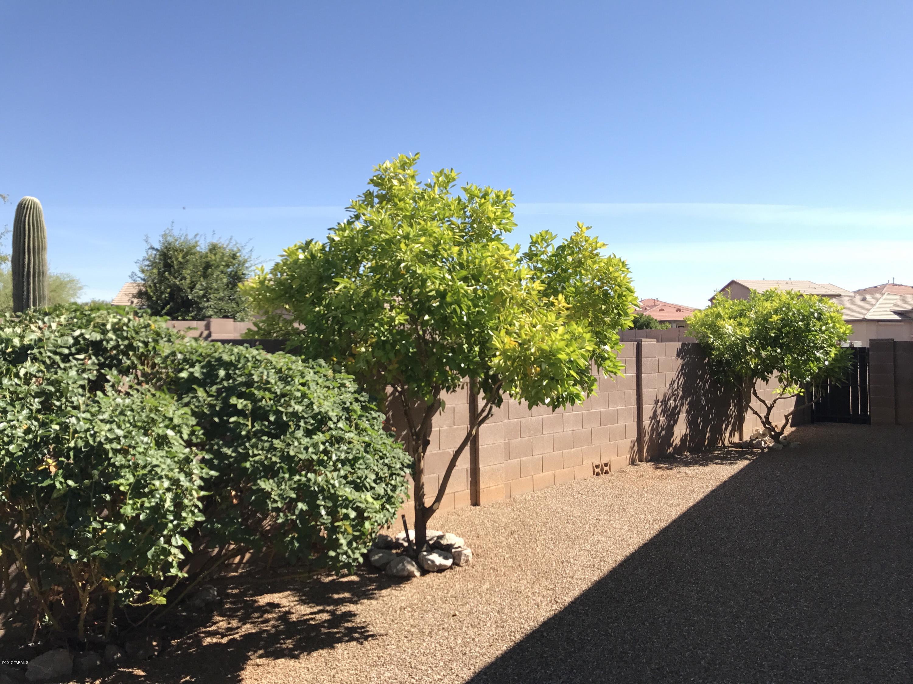 3550 East Secretariat Road Tucson, AZ 85739 - Photo 17 of 21