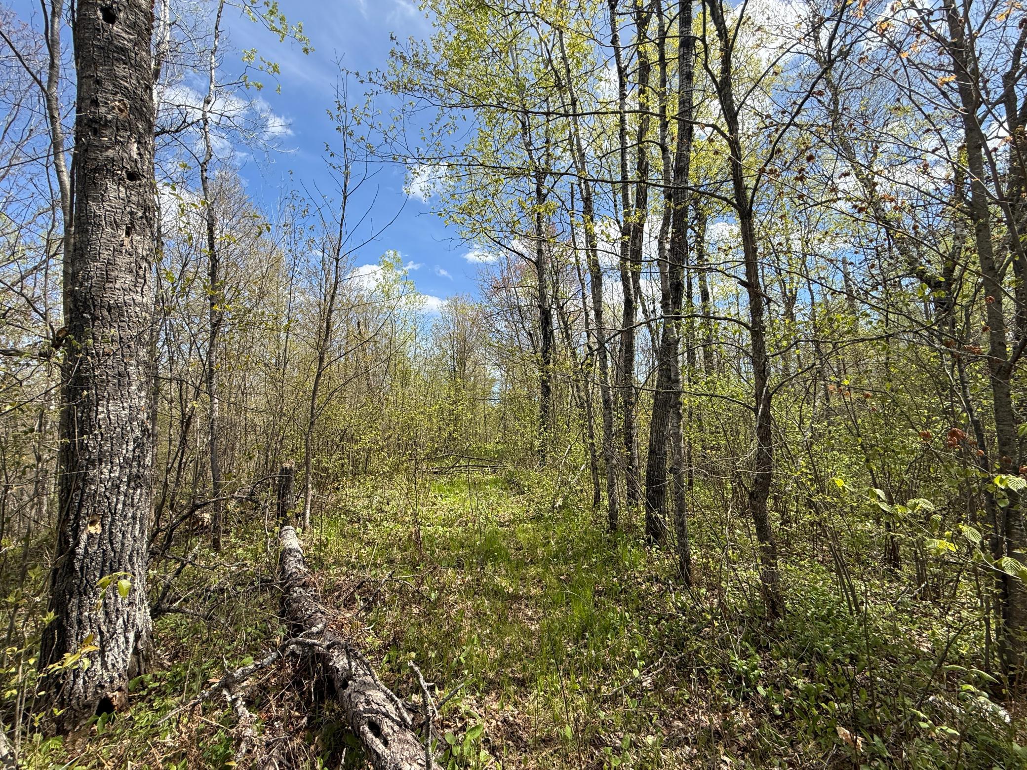 3854 Rasmussen Road Wright, MN 55798 - Photo 12 of 98