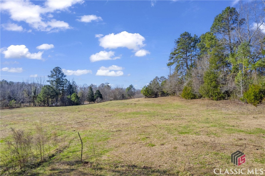 0 Bisson Woods Road, Unit 3 Lexington, GA 30648 - Photo 16 of 33