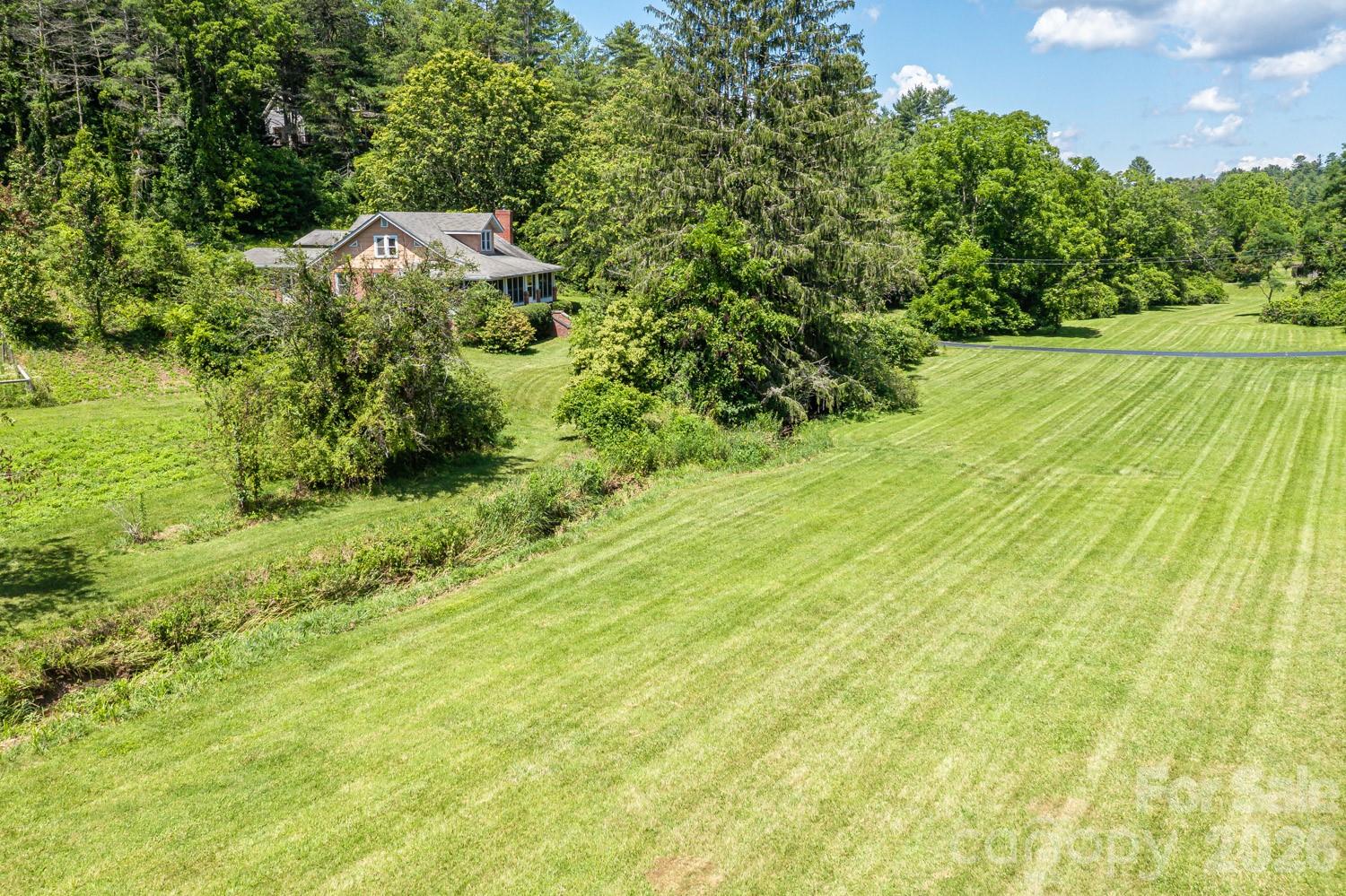 160 McLean Road Weaverville, NC 28787 - Photo 3 of 25