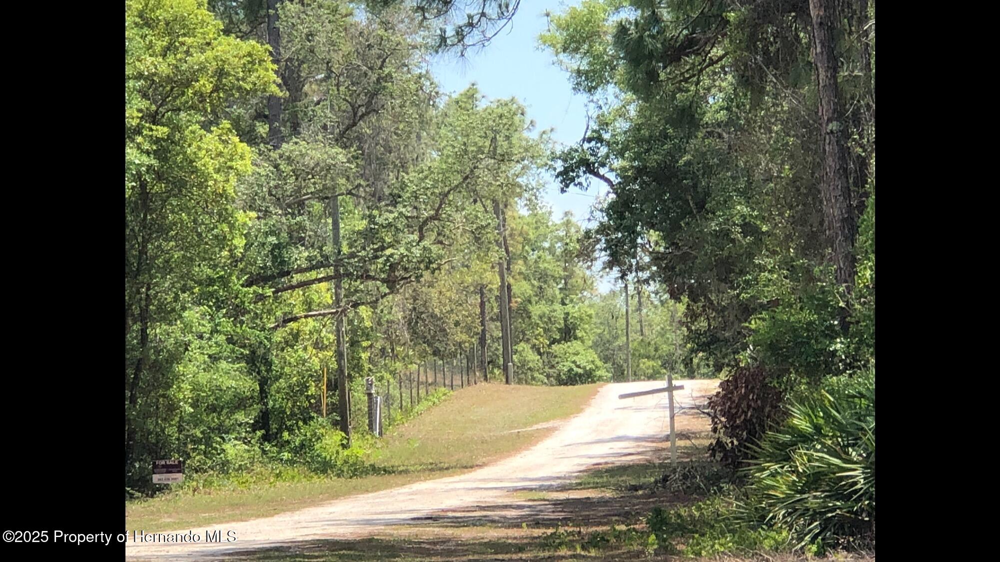 Lot 13 Colonel Avenue Webster, FL 33597 - Photo 1 of 8