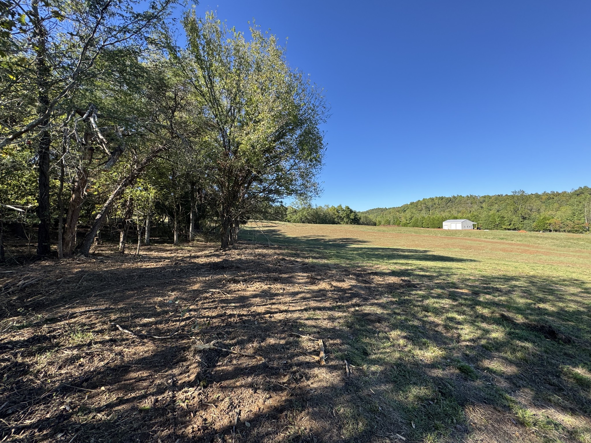 0 West Blue Creek Road Waverly, TN 37185 - Photo 13 of 26