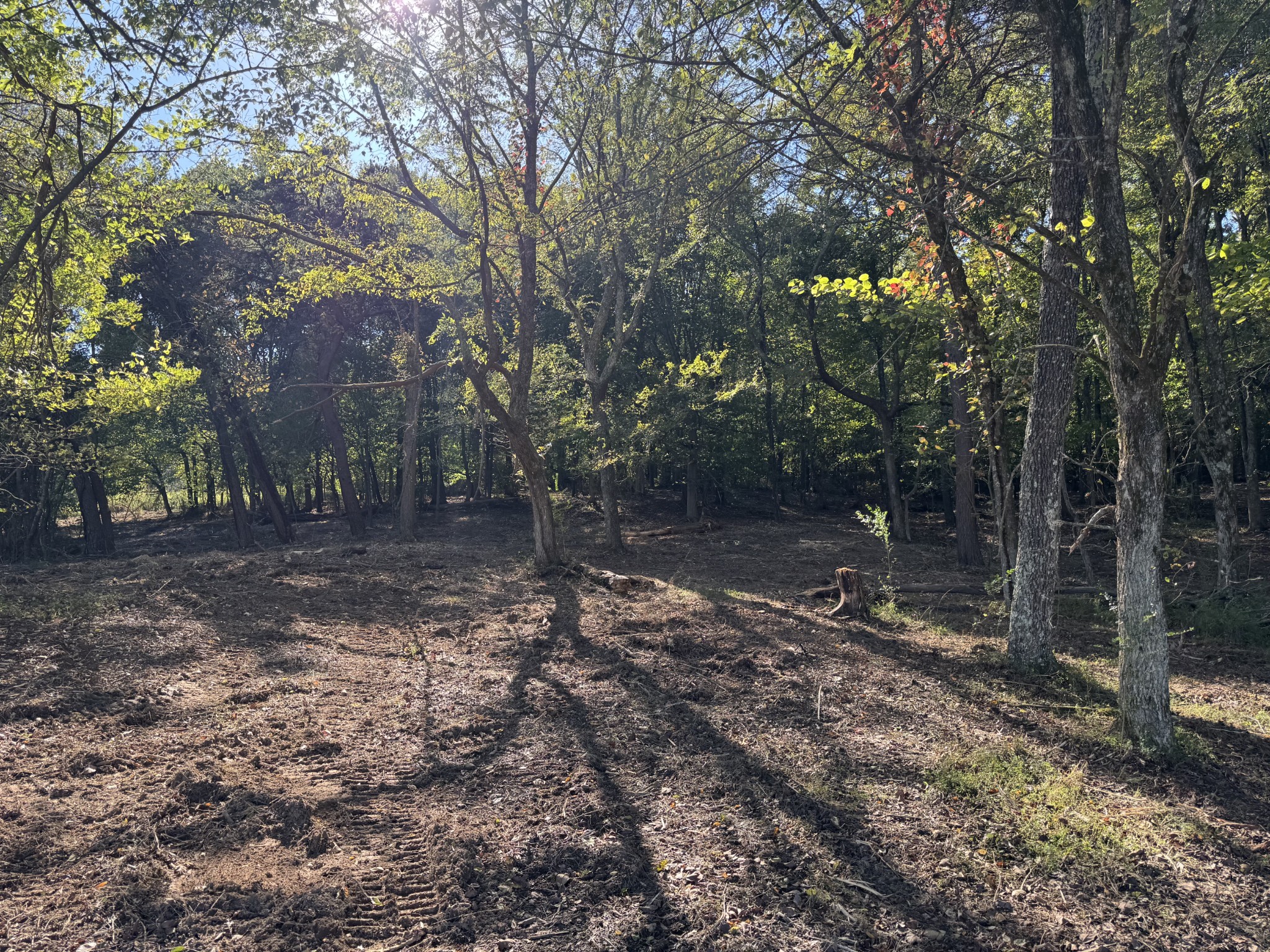 0 West Blue Creek Road Waverly, TN 37185 - Photo 16 of 26 a backyard of a house with lots of green space