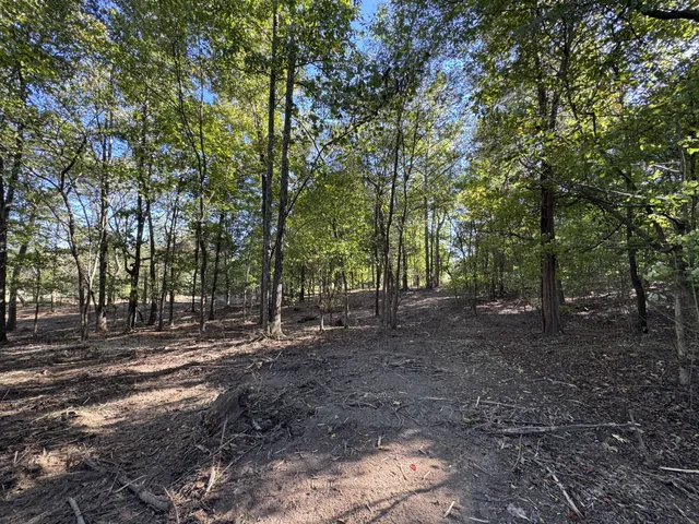a view of outdoor space with lots of trees
