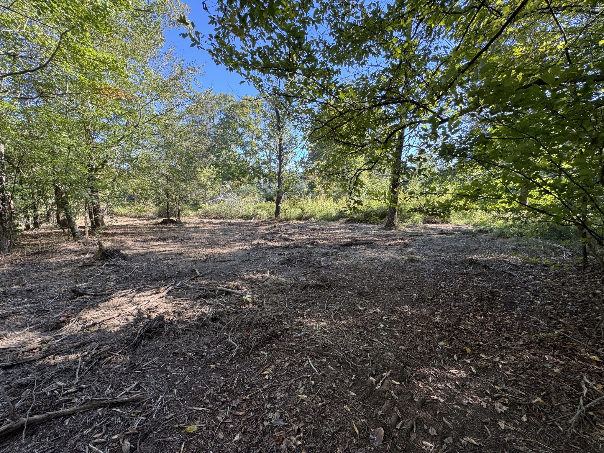 0 West Blue Creek Road Waverly, TN 37185 - Photo 20 of 26