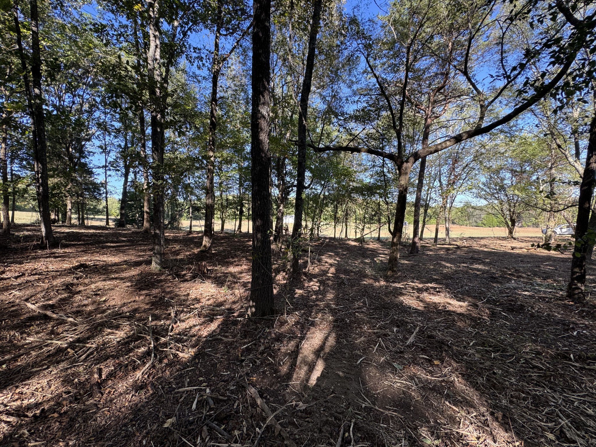 0 West Blue Creek Road Waverly, TN 37185 - Photo 21 of 26 a view of outdoor space with lots of trees