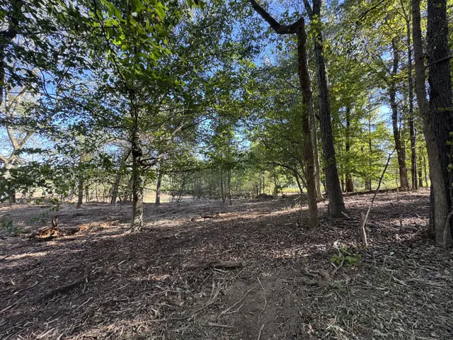 a view of outdoor space with trees