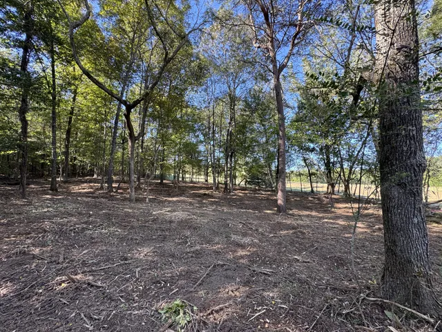 a view of outdoor space and trees
