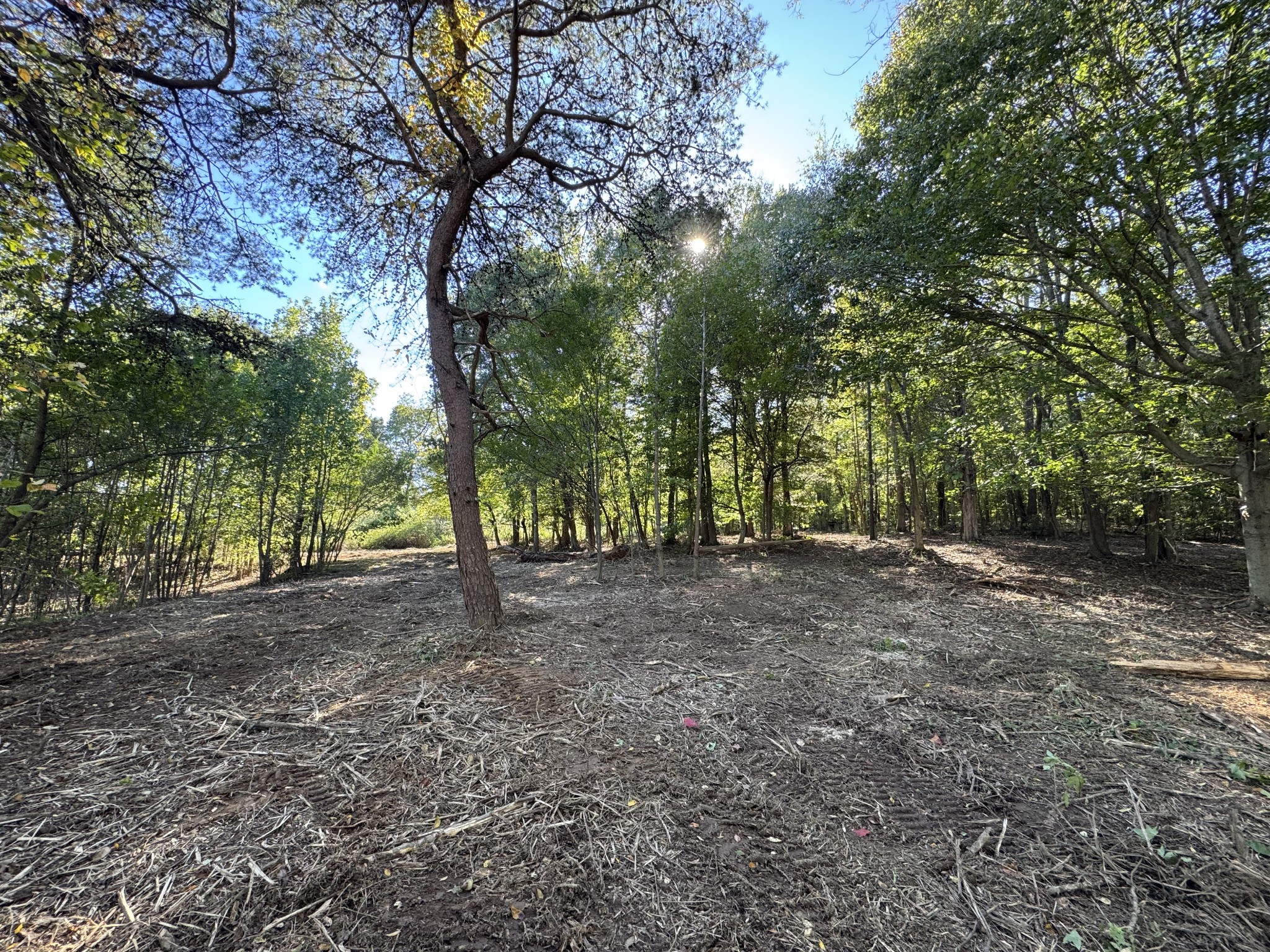 0 West Blue Creek Road Waverly, TN 37185 - Photo 24 of 26 a view of outdoor space and trees