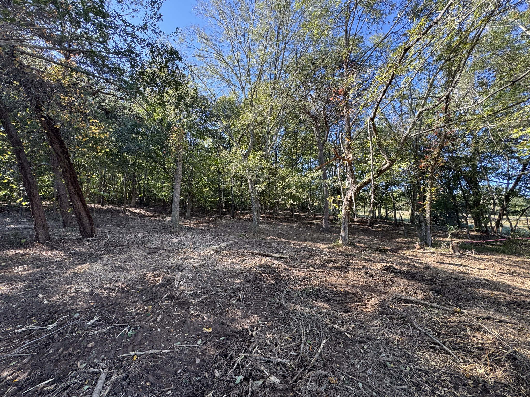 0 West Blue Creek Road Waverly, TN 37185 - Photo 25 of 26 a view of a forest with trees
