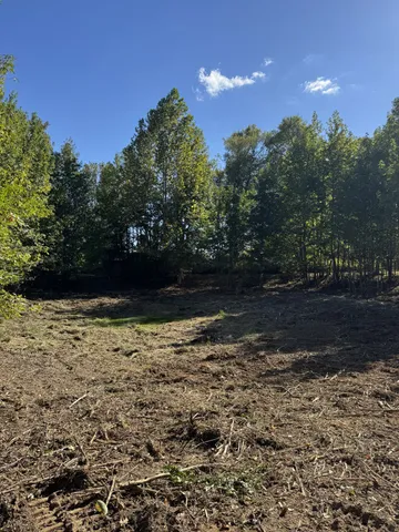 $199,000 | 0 West Blue Creek Road, Waverly, TN 37185