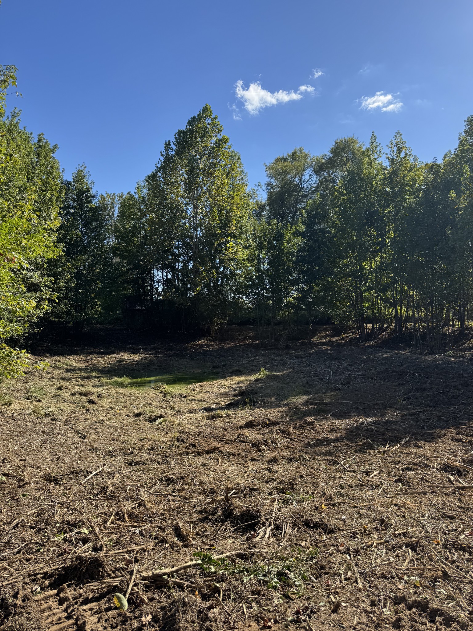 0 West Blue Creek Road Waverly, TN 37185 - Photo 26 of 26 a view of a yard