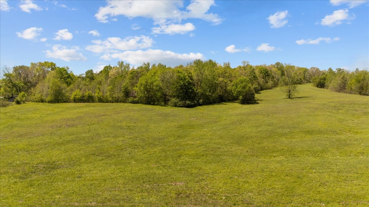 0 West Blue Creek Road Waverly, TN 37185 - Photo 4 of 26 a view of an ocean beach
