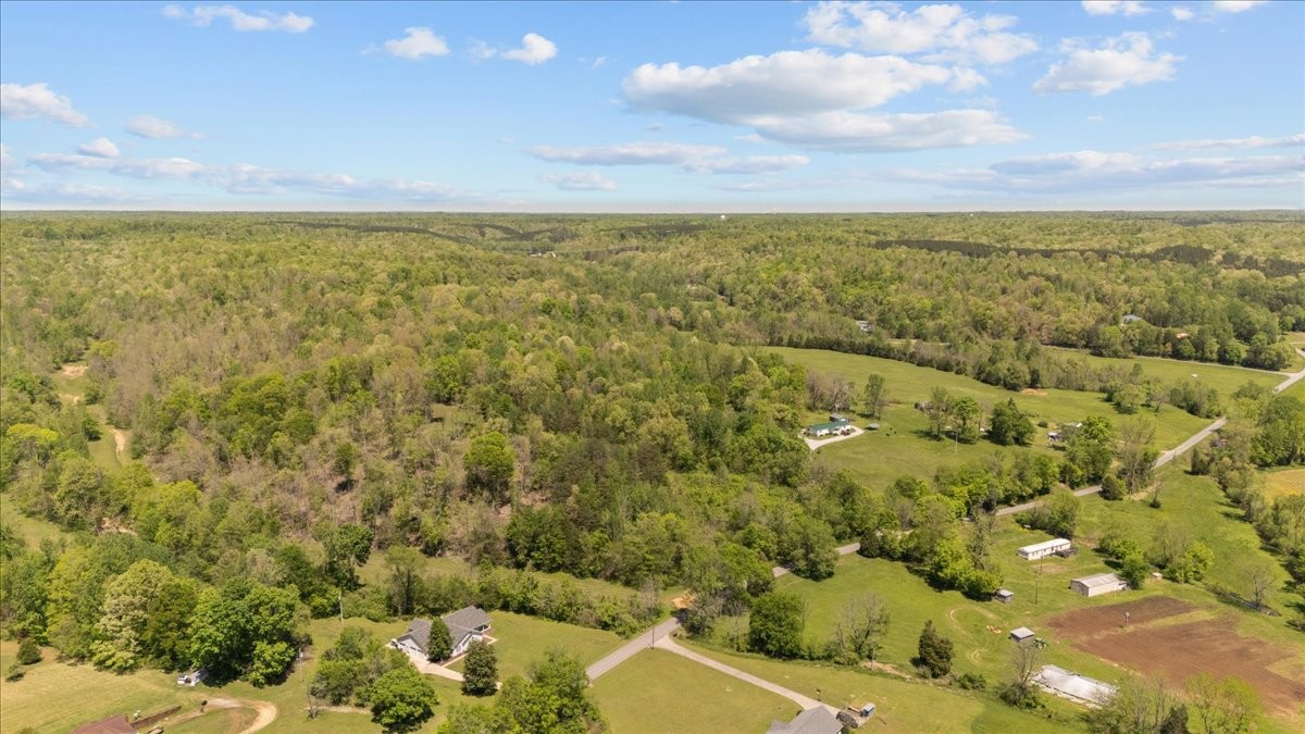 0 West Blue Creek Road Waverly, TN 37185 - Photo 7 of 26