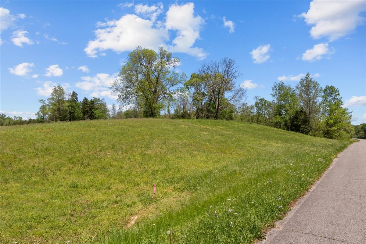 0 West Blue Creek Road Waverly, TN 37185 - Photo 8 of 26 a view of a big yard with swimming pool and green space