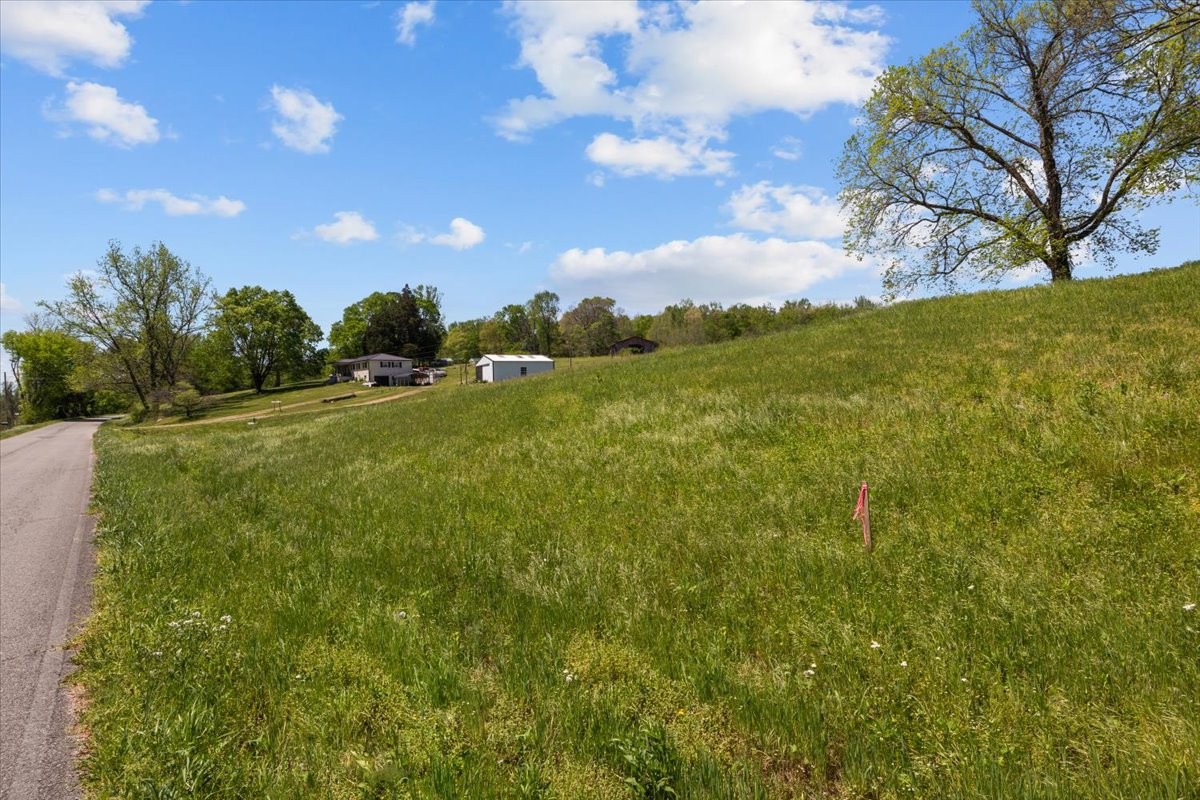 0 West Blue Creek Road Waverly, TN 37185 - Photo 9 of 26