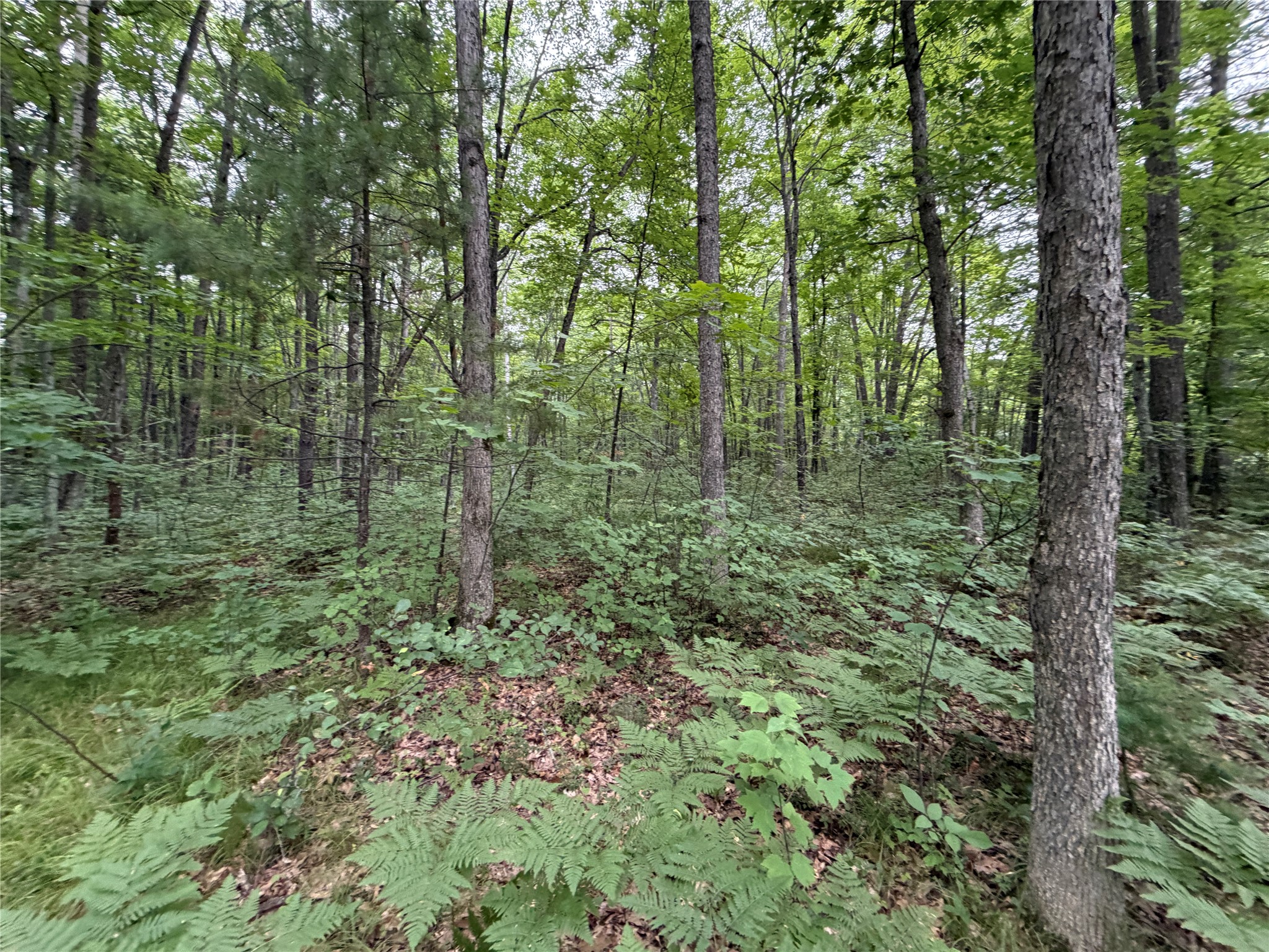Lot 1 Nor Wis Road North Hayward, WI 54843 - Photo 11 of 37