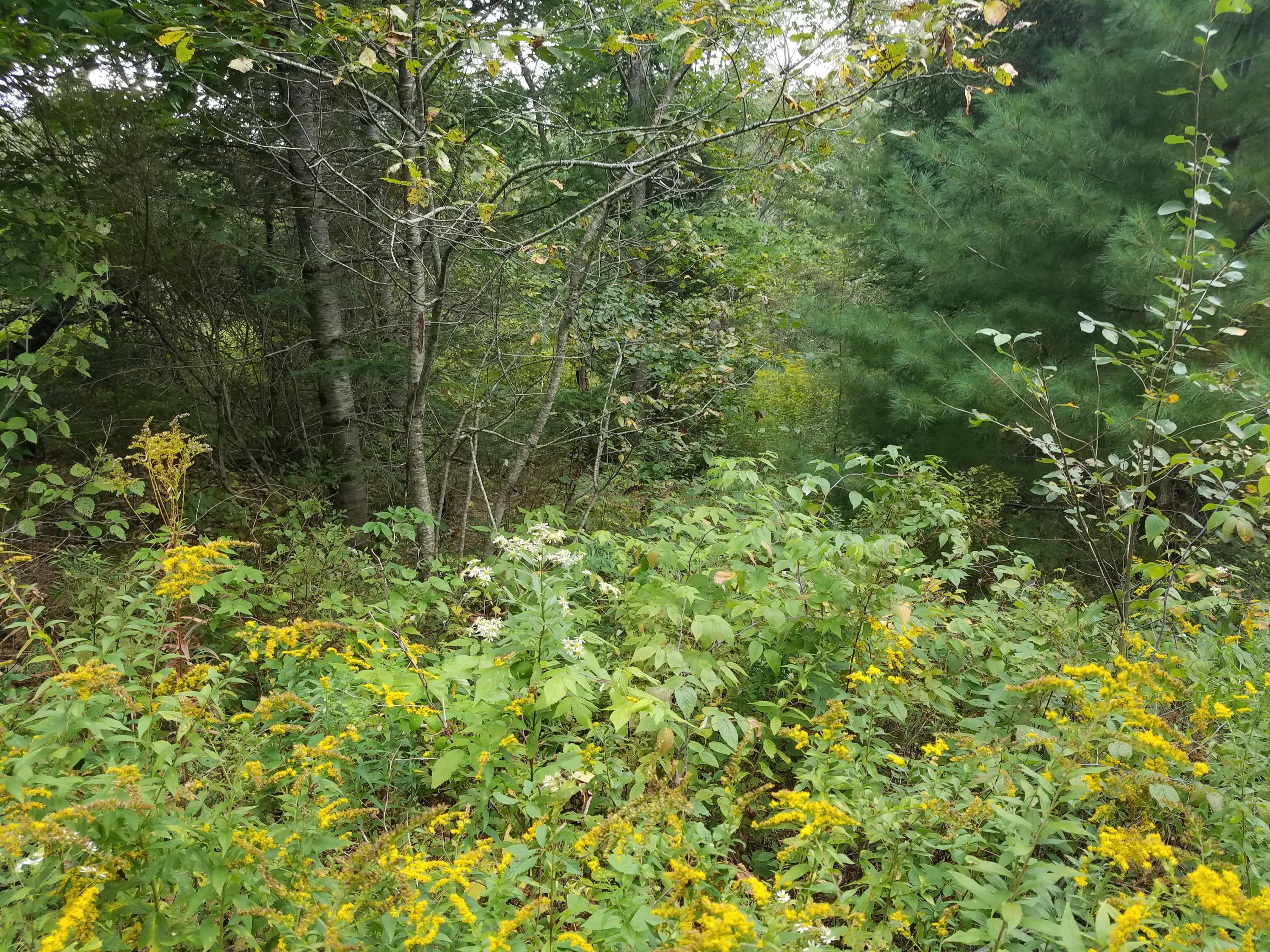 3245 North Union Road Union, ME 04862 - Photo 5 of 6 3245 N Union Road