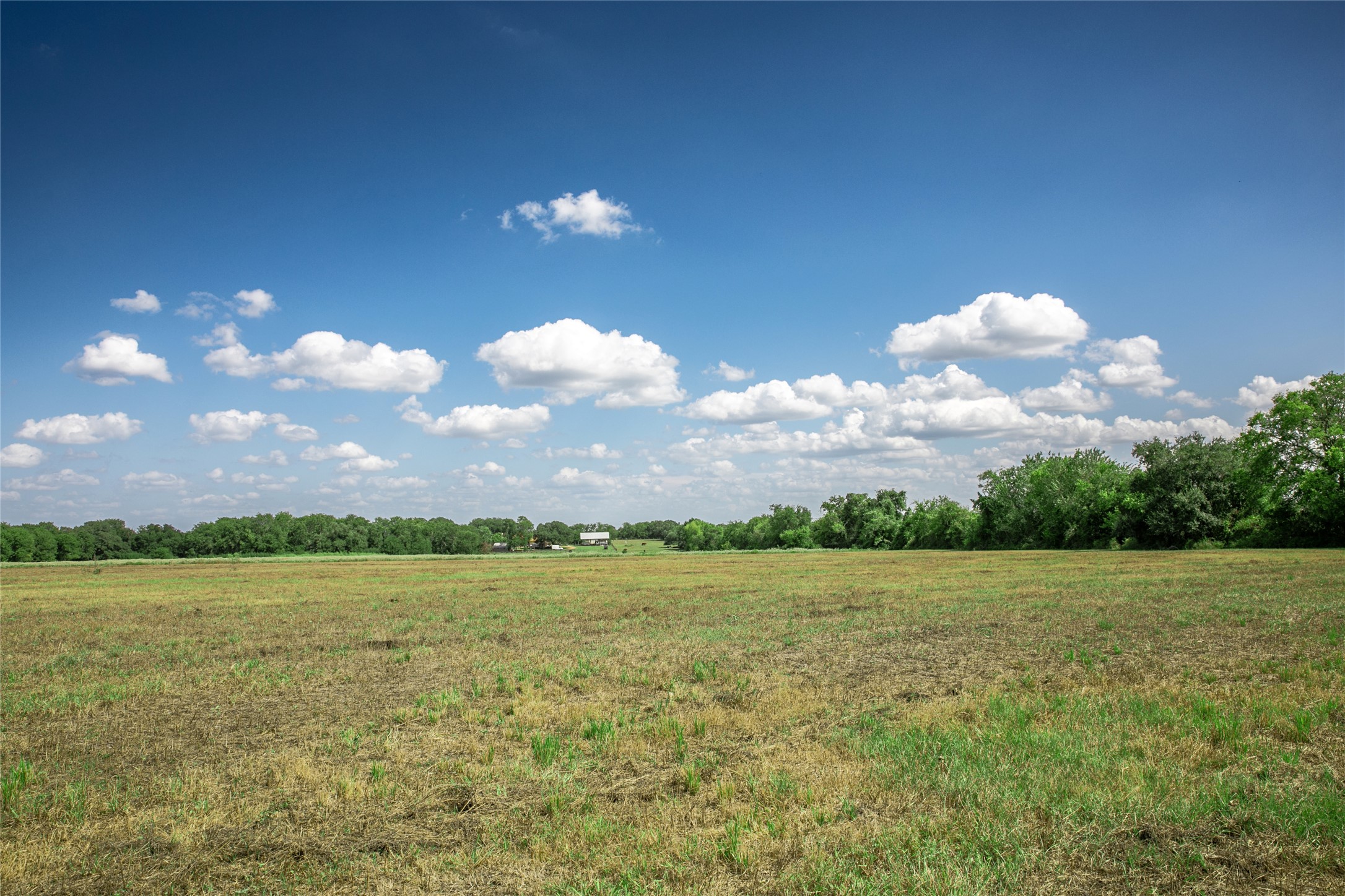 11105 Harmon School Road Burton, TX 77835 - Photo 11 of 12 a view of a big yard with a house in the background
