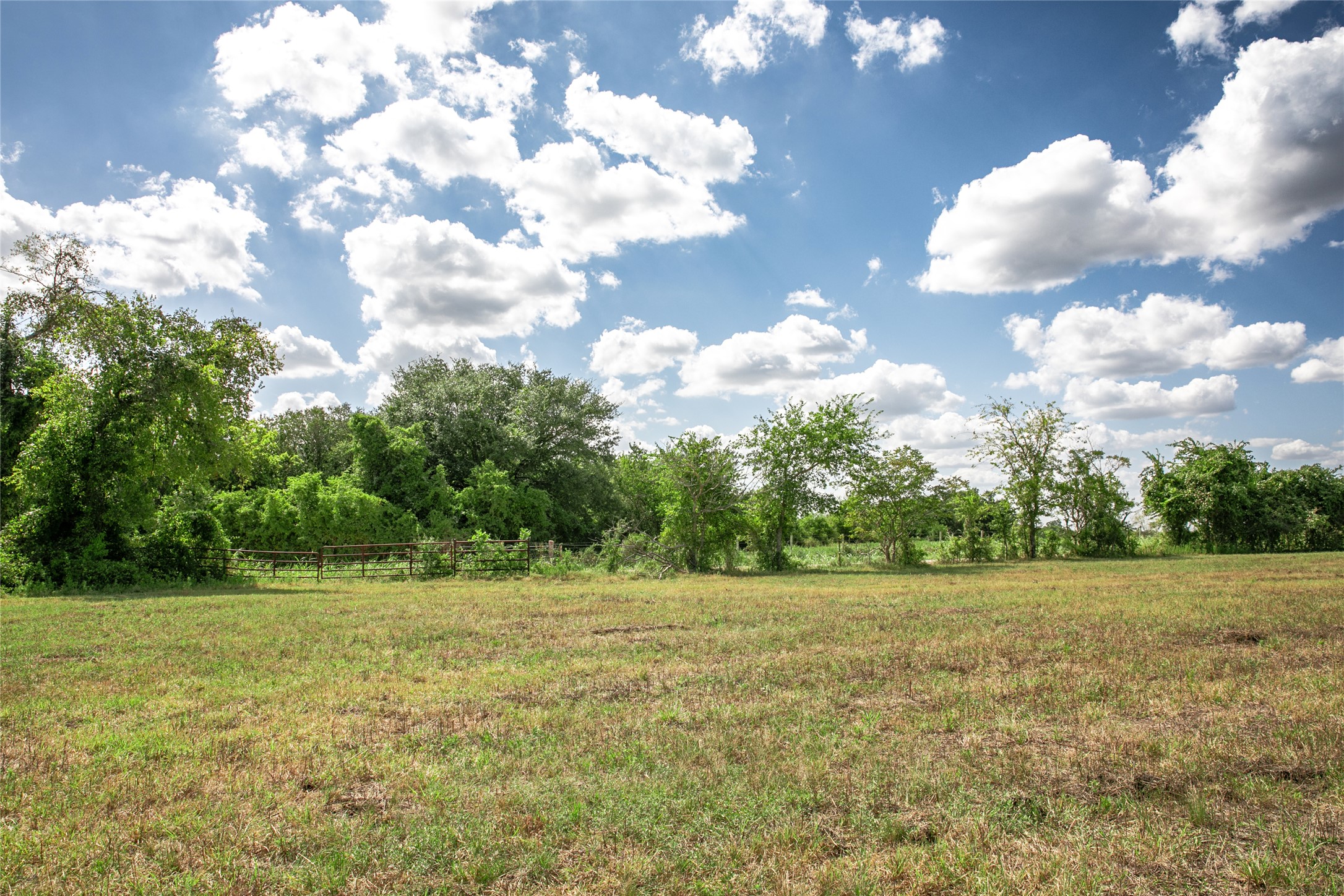 11105 Harmon School Road Burton, TX 77835 - Photo 4 of 12 a view of a green field