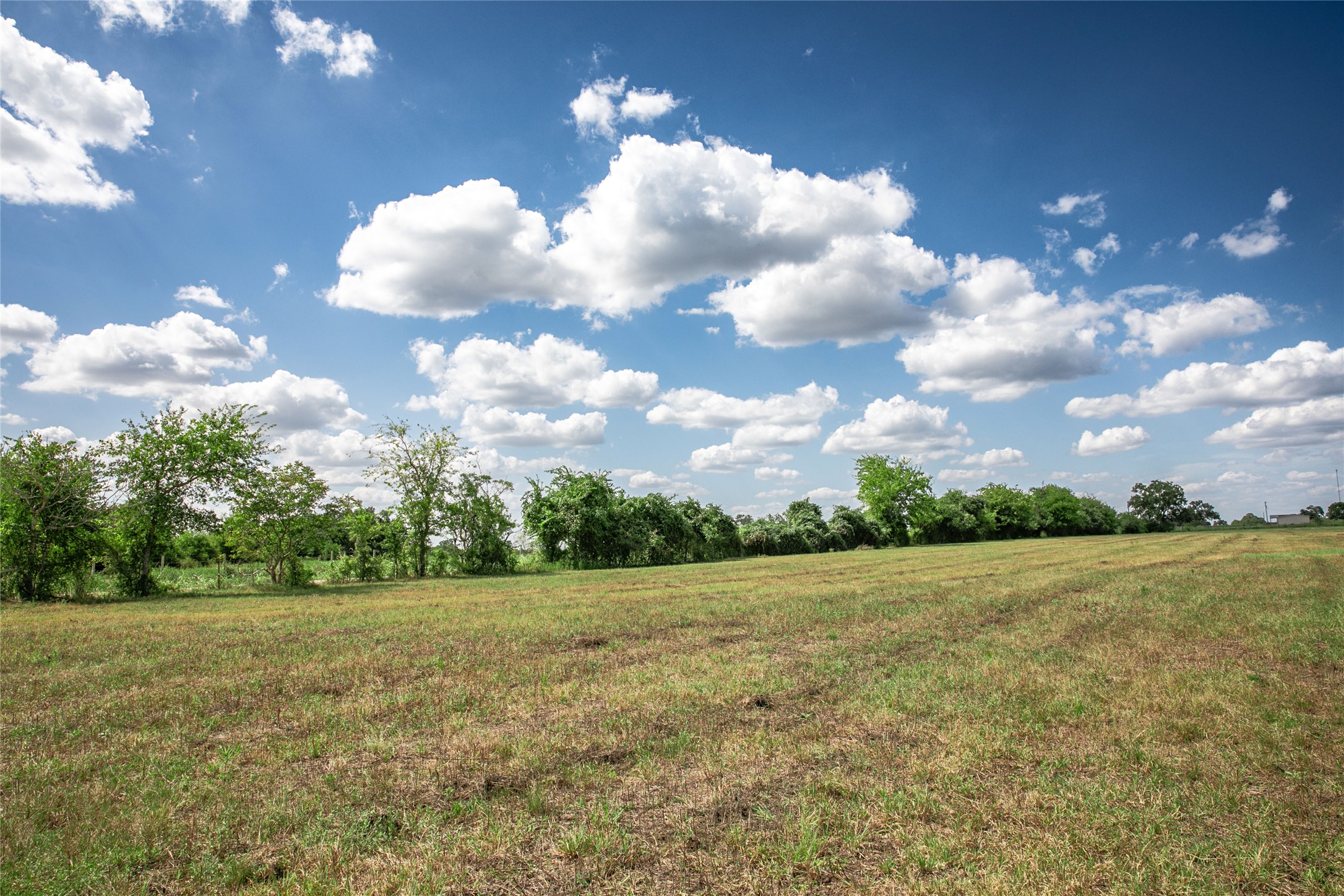 11105 Harmon School Road Burton, TX 77835 - Photo 5 of 12 a view of a big yard