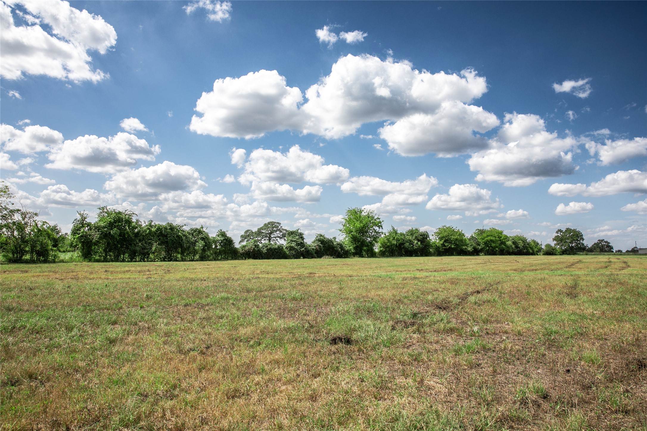 11105 Harmon School Road Burton, TX 77835 - Photo 8 of 12 a view of field with trees in the background