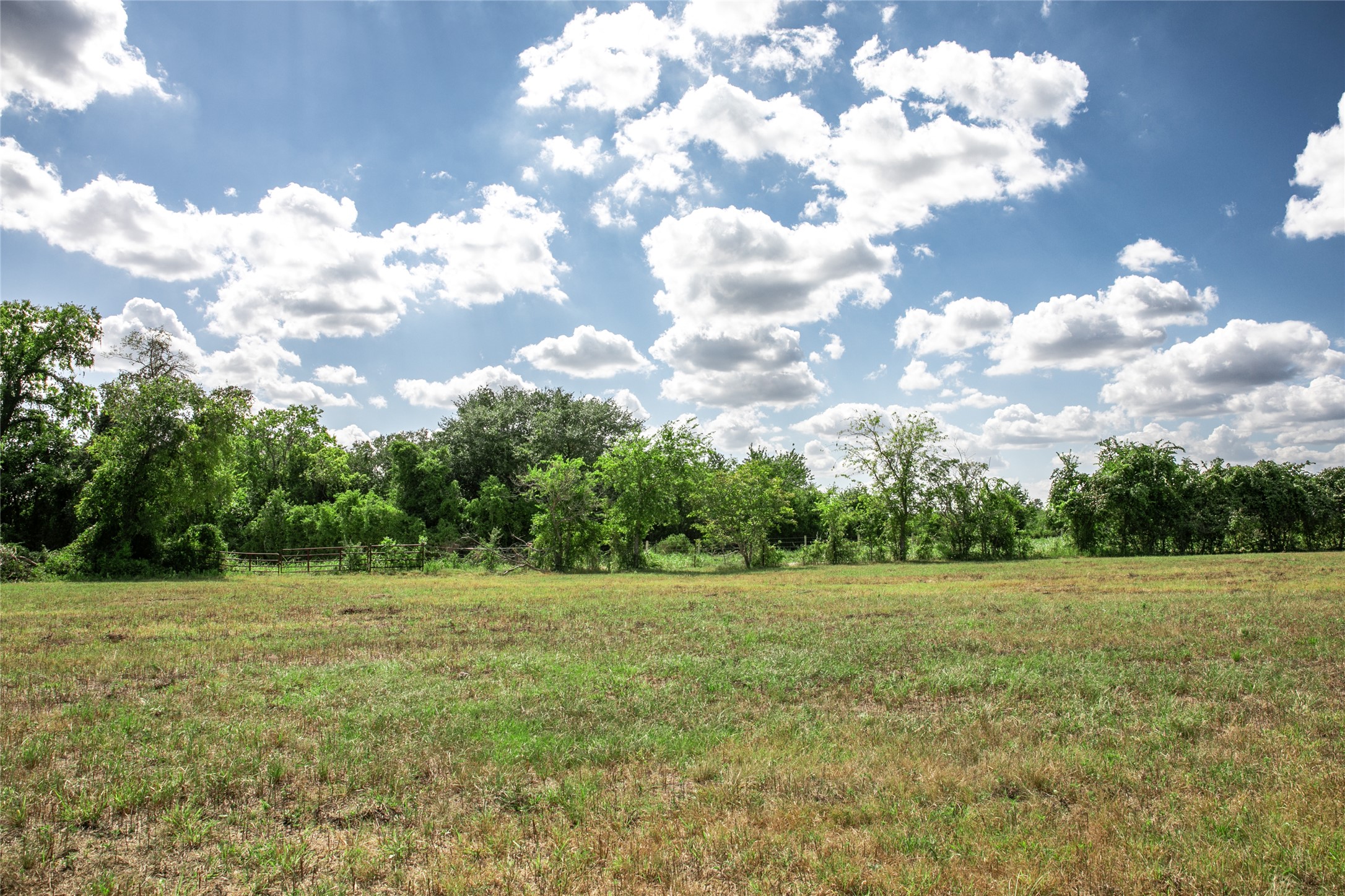 11105 Harmon School Road Burton, TX 77835 - Photo 9 of 12 a view of a green field with clear sky