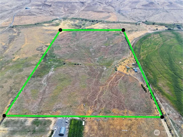 a green field with some trees in the background