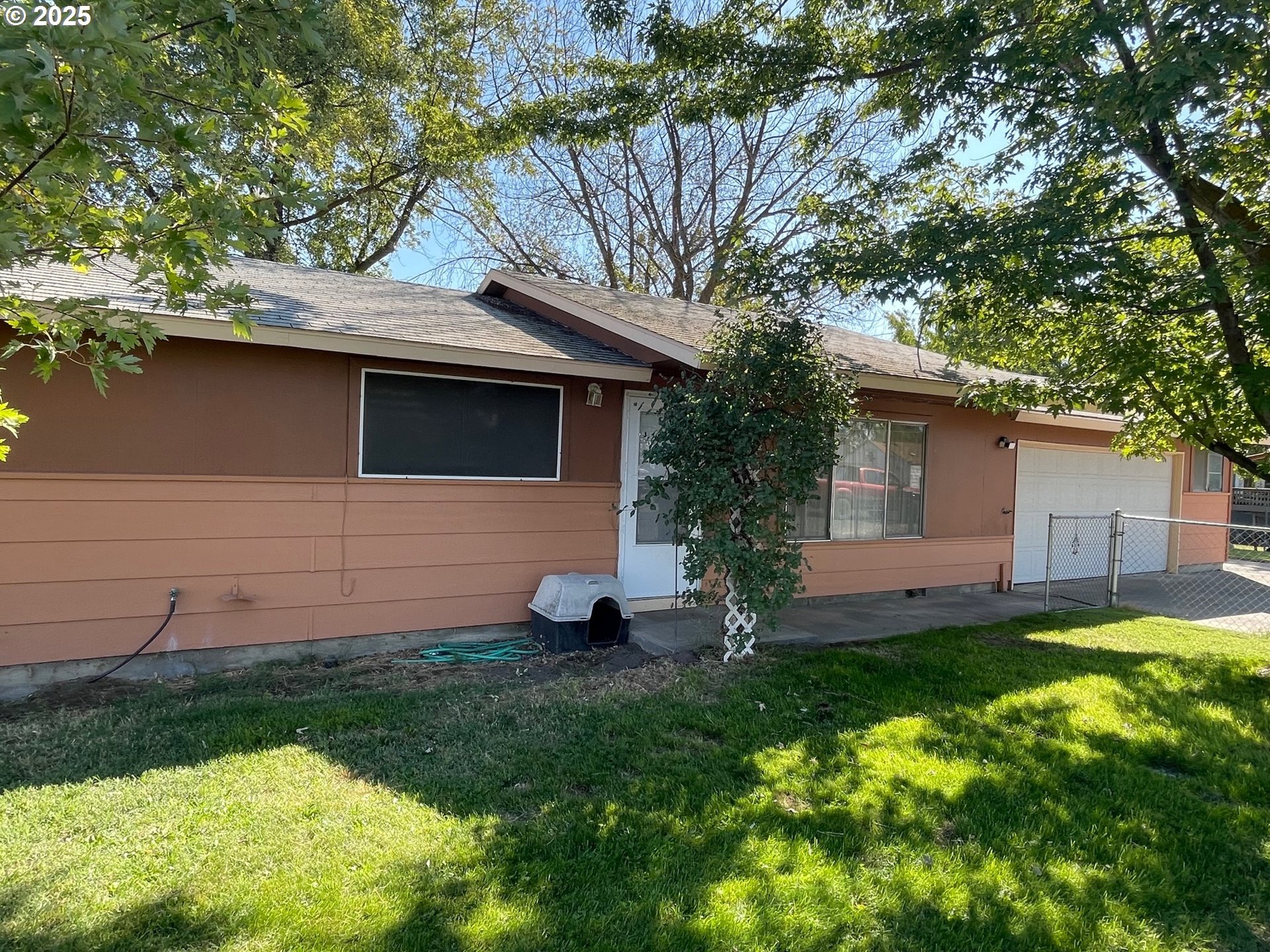a view of a backyard with plants and large tree