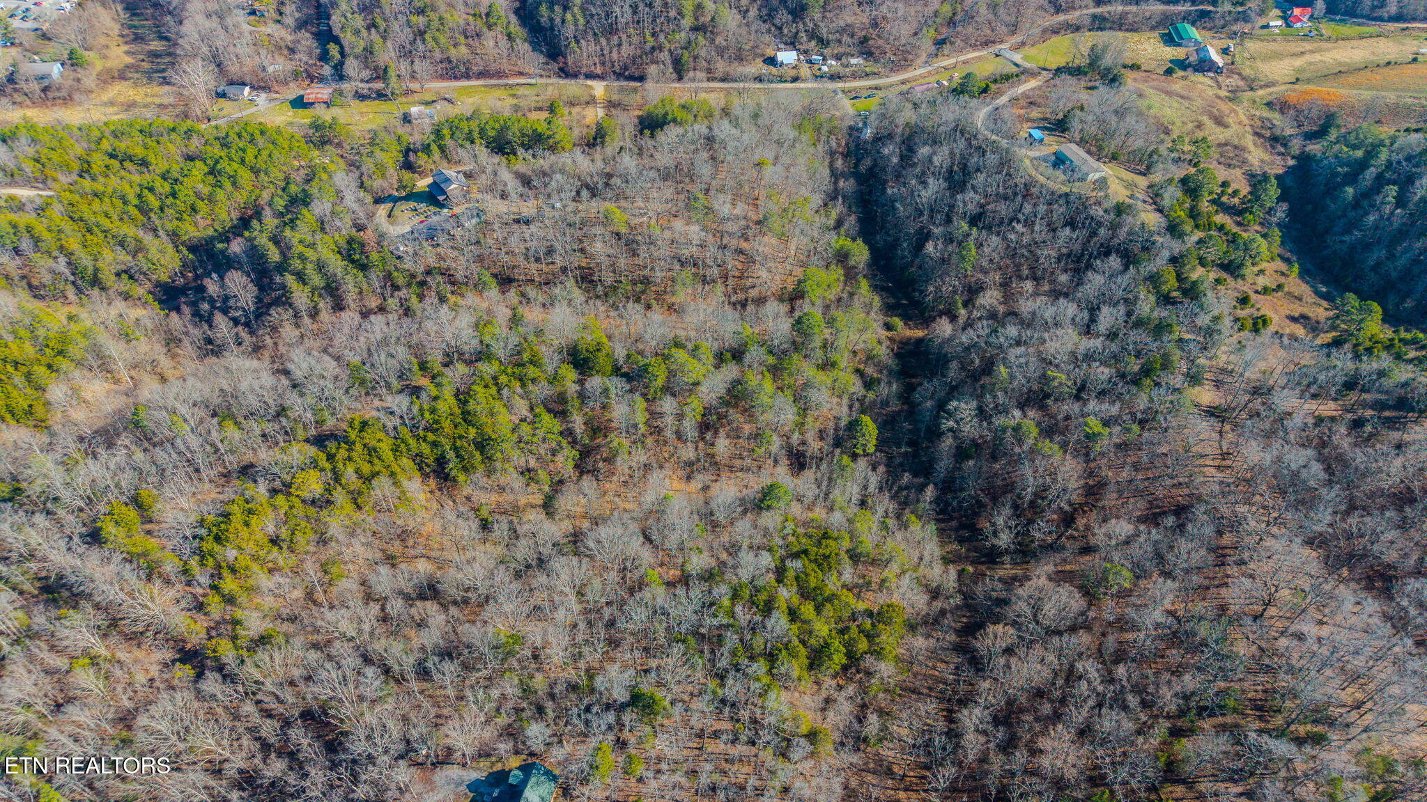 230-3 Reagan Branch Road Seymour, TN 37865 - Photo 2 of 8 4-web-or-mls-DJI_20251230124843_0655_D