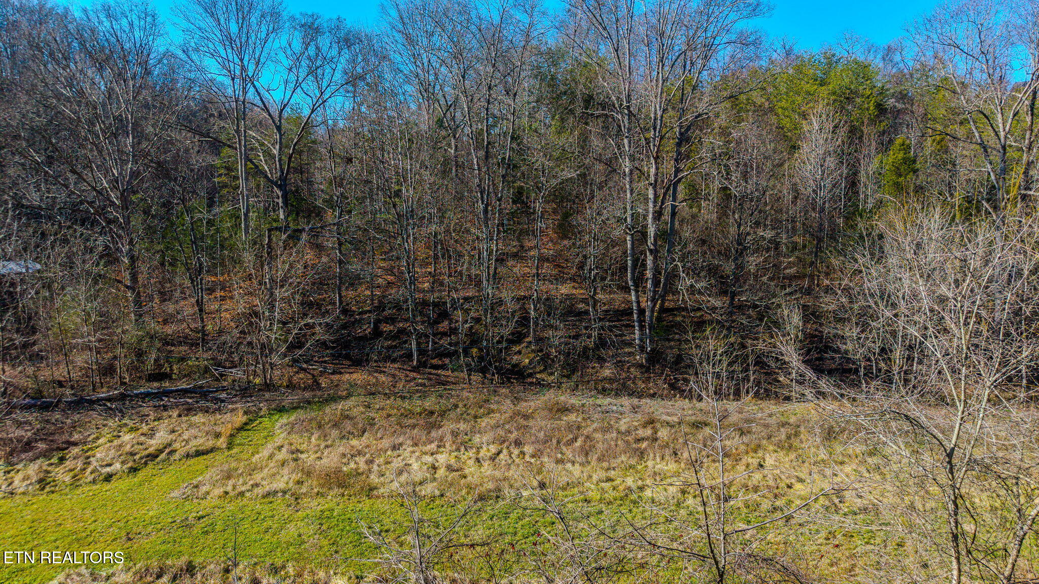 230-3 Reagan Branch Road Seymour, TN 37865 - Photo 5 of 8 1-web-or-mls-DJI_20251230125048_0659_D