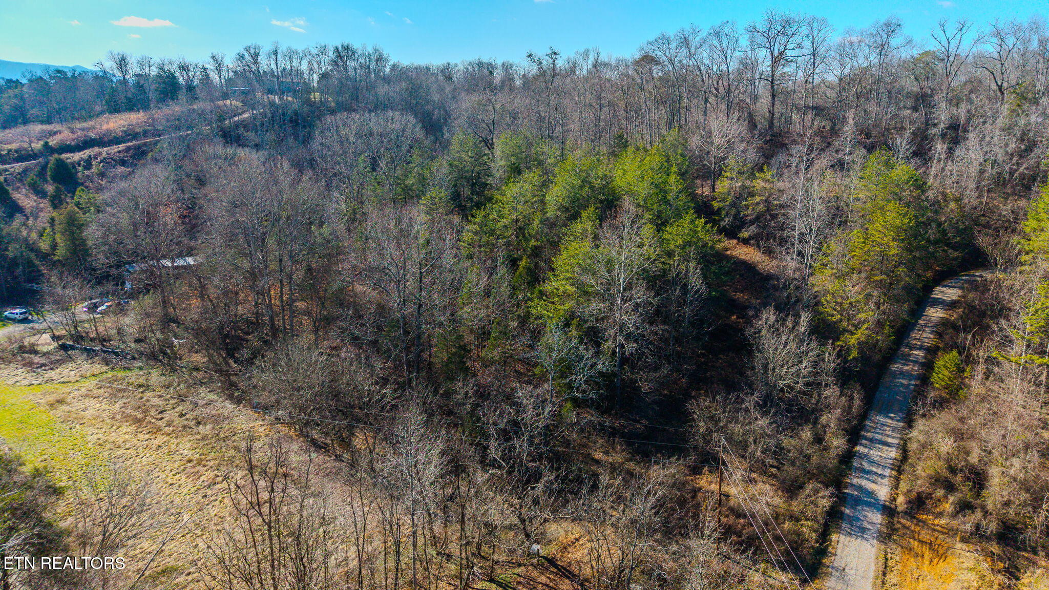 230-3 Reagan Branch Road Seymour, TN 37865 - Photo 6 of 8 6-web-or-mls-DJI_20251230124950_0657_D
