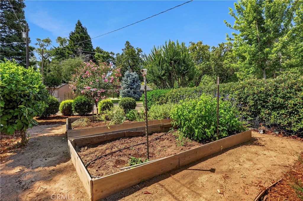 602 Reed Park Drive Chico, CA 95926 - Photo 26 of 33