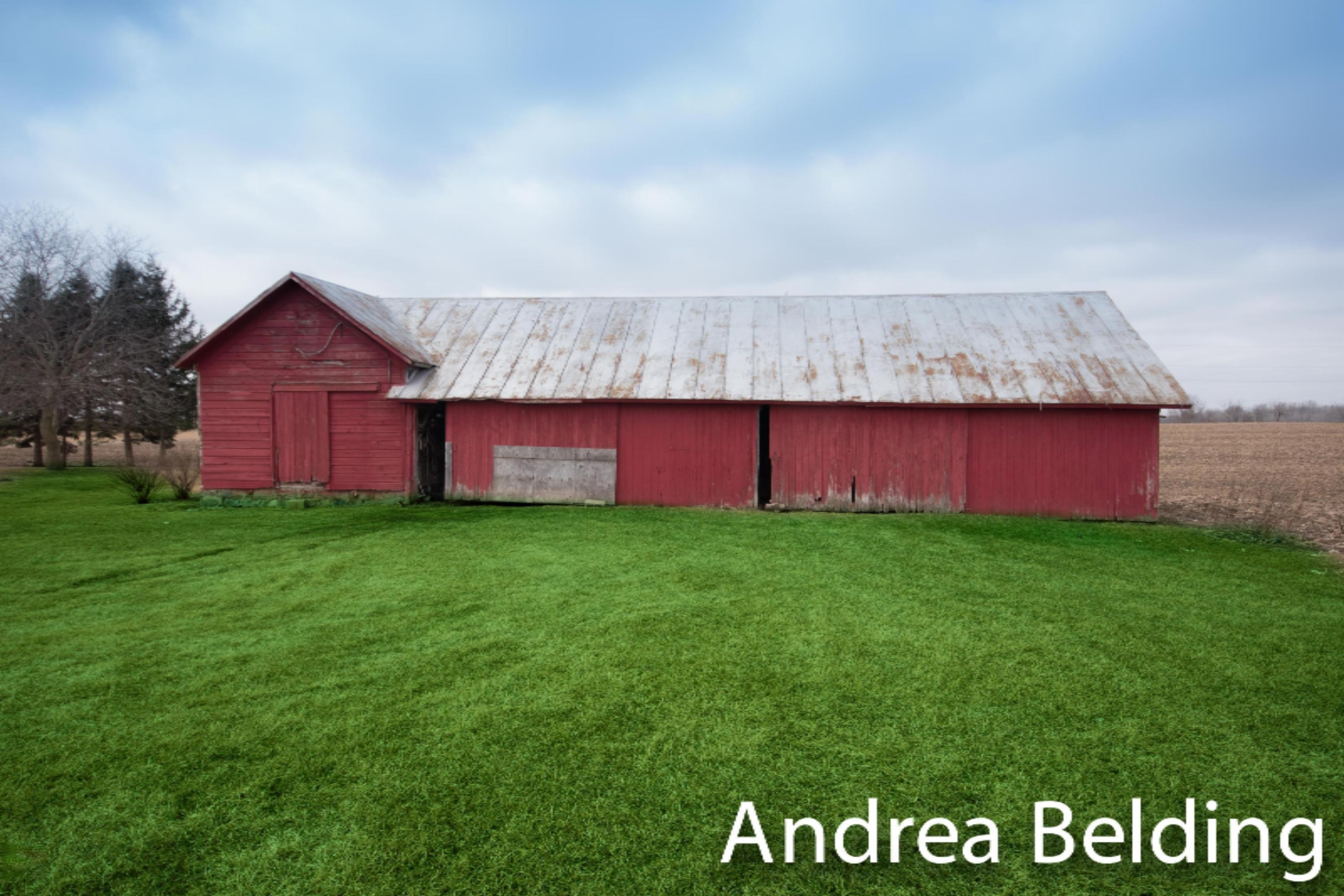 11230 Grant Road Carson City, MI 48811 - Photo 49 of 56 KHP_8612