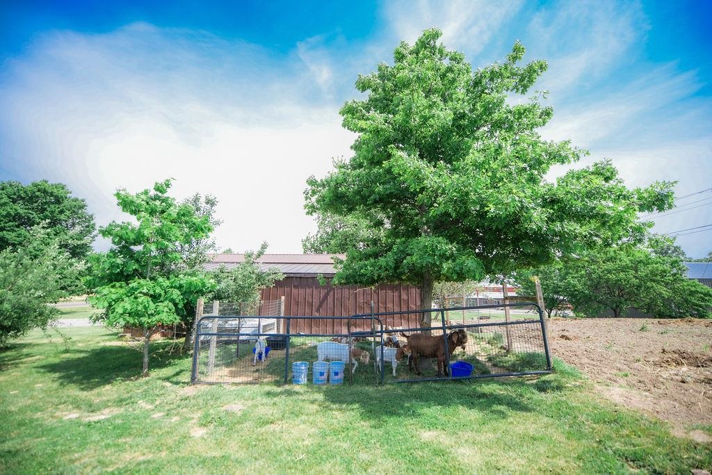 8398 West State Road Ellettsville, IN 47429 - Photo 6 of 36