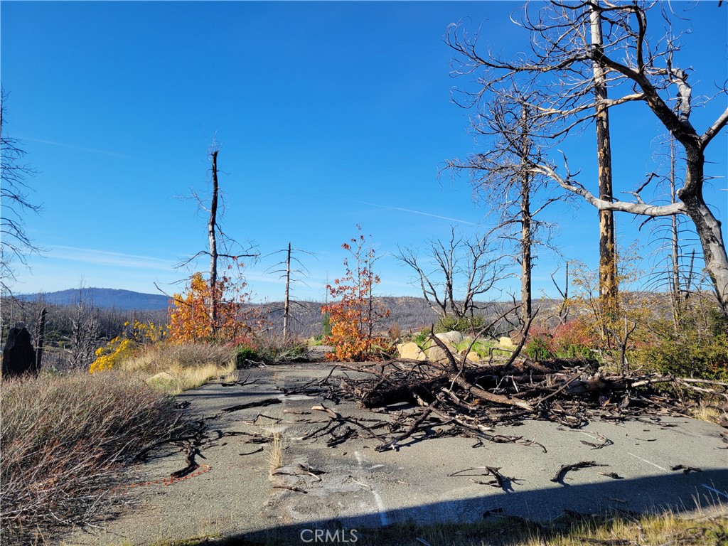 161 Shadow Creek Road Berry Creek, CA 95916 - Photo 11 of 22 a view of a covered with trees