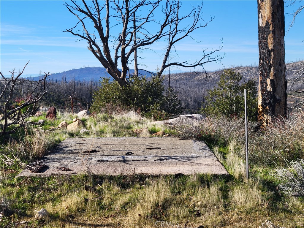 161 Shadow Creek Road Berry Creek, CA 95916 - Photo 14 of 22 a view of a backyard of the house