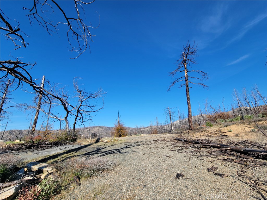 161 Shadow Creek Road Berry Creek, CA 95916 - Photo 20 of 22 a view of a dry yard with a tree