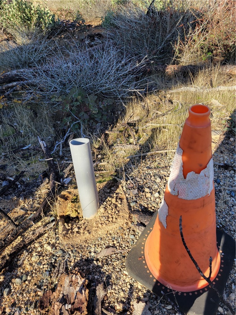 161 Shadow Creek Road Berry Creek, CA 95916 - Photo 21 of 22 a view of swimming pool with a backyard and a lake view