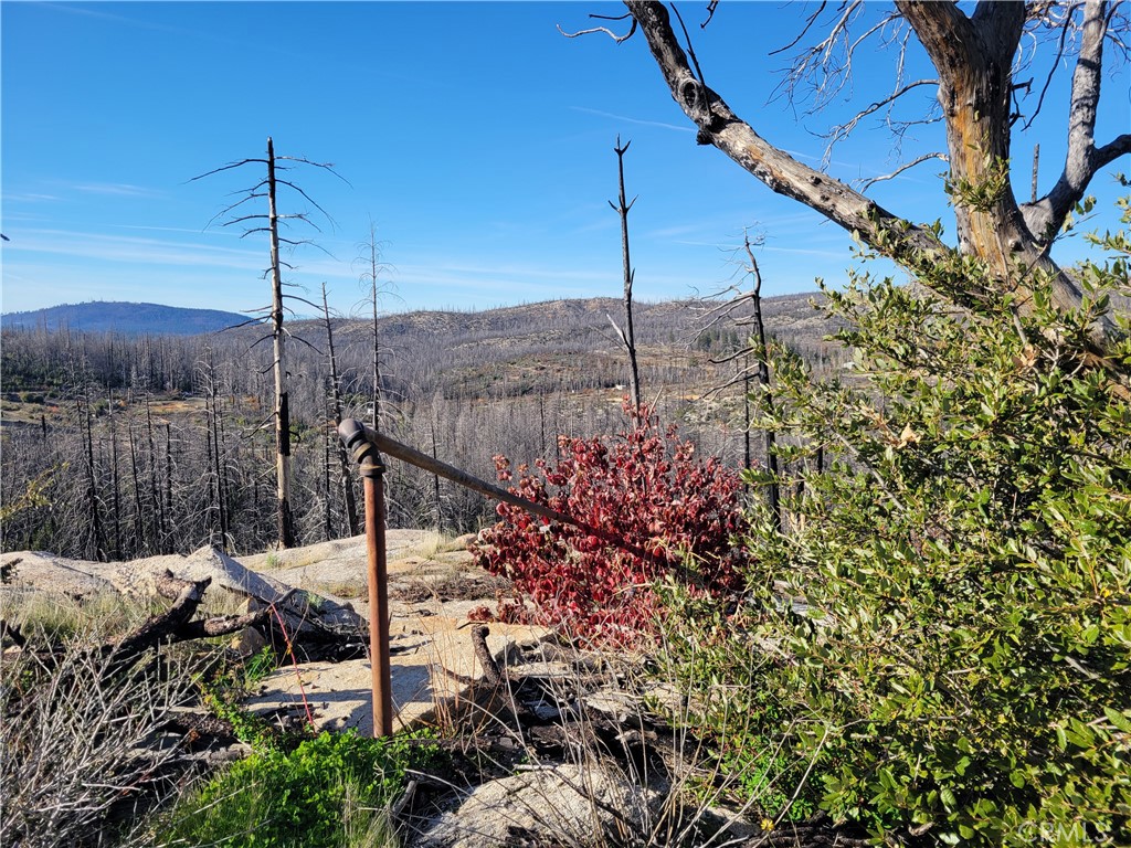 161 Shadow Creek Road Berry Creek, CA 95916 - Photo 3 of 22 a view of a house with a tree and a park