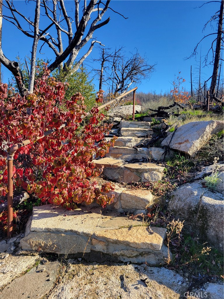 161 Shadow Creek Road Berry Creek, CA 95916 - Photo 4 of 22 a view of a yard with wooden fence