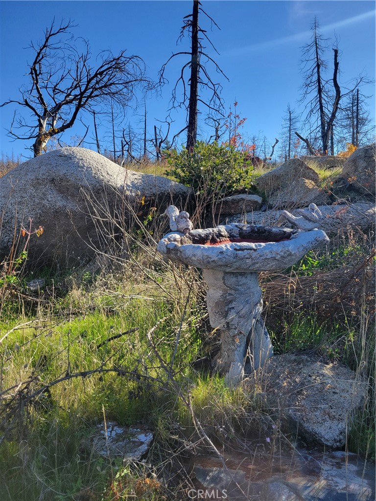 161 Shadow Creek Road Berry Creek, CA 95916 - Photo 5 of 22 a view of a backyard