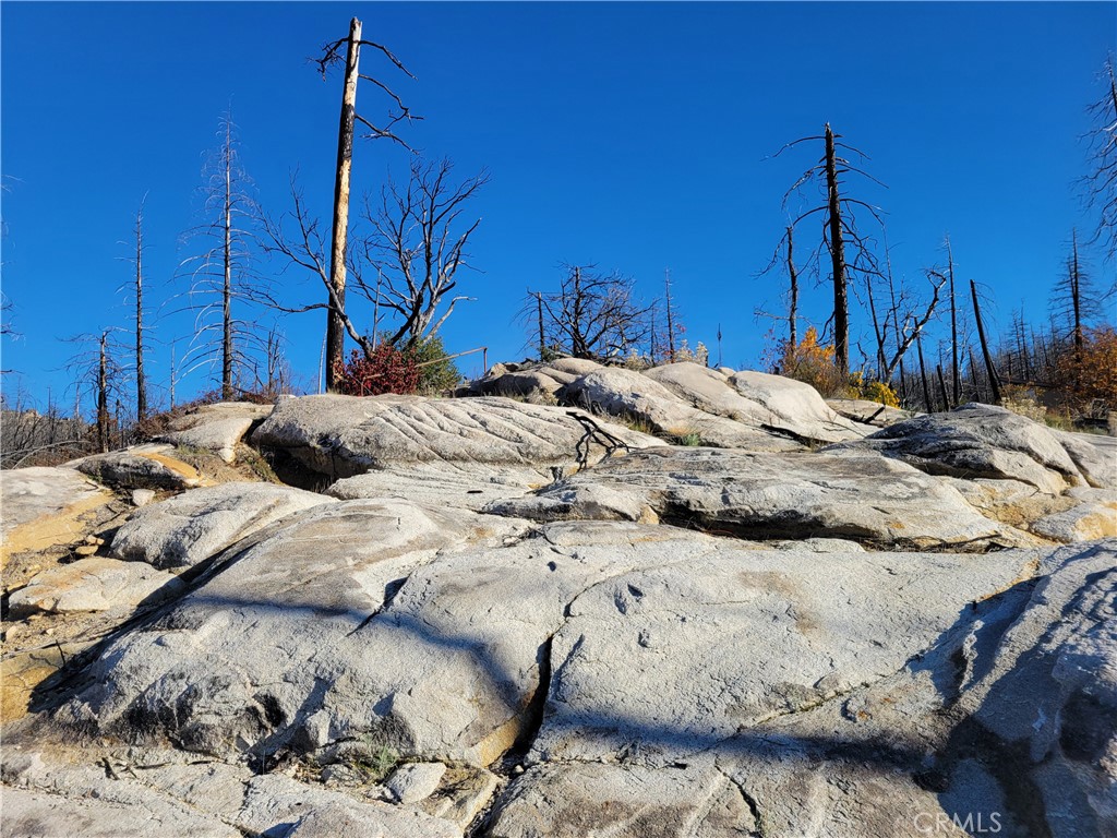 161 Shadow Creek Road Berry Creek, CA 95916 - Photo 6 of 22 a bedroom with a bed and a wooden floor